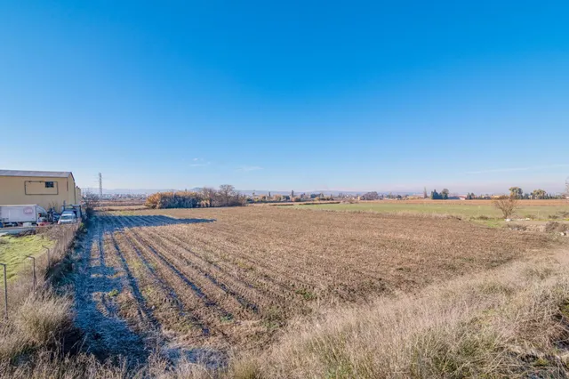 Excelente finca de regadío en la Vega de Granada, con acceso directo — 25