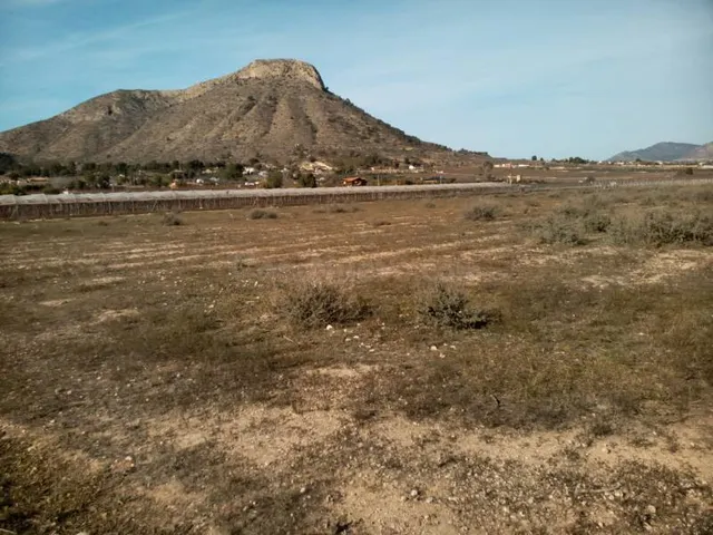 VENTA DE PARCELA DE 20.800 M2 EN ASPE EN BUENA ZONA CON AGUA