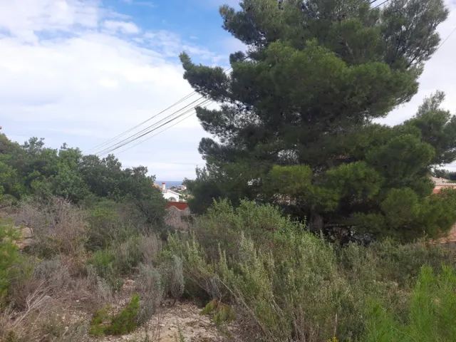 Parcela con vistas en galeretes — 10