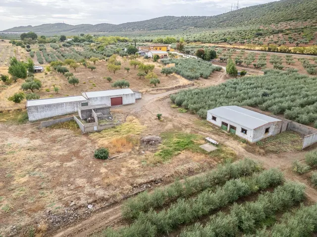 ESPECTACULAR FINCA DE 2,2 HECTÁREAS: PRIVACIDAD, NATURALEZA Y UBICACIÓN ESTRATÉGICA EN LOS SANTOS DE MAIMONA (BADAJOZ) — 8