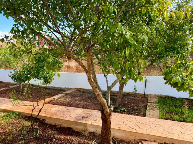 CHALET INDEPENDIENTE CON PISCINA EN BADIA BLAVA -LLUCMAJOR — 32