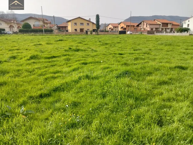 FINCA URBANA 2875M2 EN VERNEJO (CABEZON DE LA SAL)