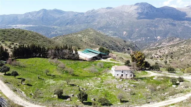 Casa de campo-Masía en Venta en Benalauria Málaga - foto 4