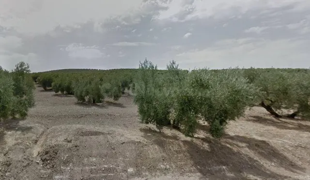 SE VENDE suelo urbano OKUPA en C Torredonjimeno de Torredon - foto 2