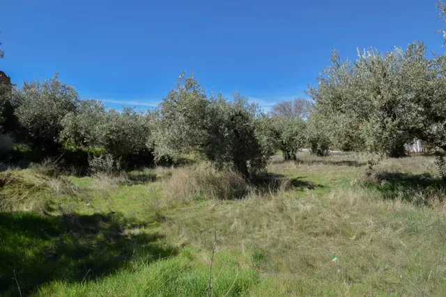 Exclusivos solares en la Villa de Otura — 28