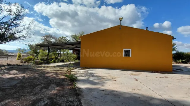 Casa de campo con parcela vallada, pinada, zona de olivos y  - foto 5
