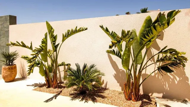 Villa 4 habitaciones 350m² en venta - La marina — 43