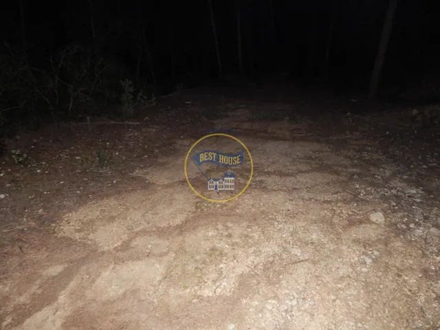 OPORTUNIDAD DOS PARCELAS A LA VENTA EN OLLERIA — 14