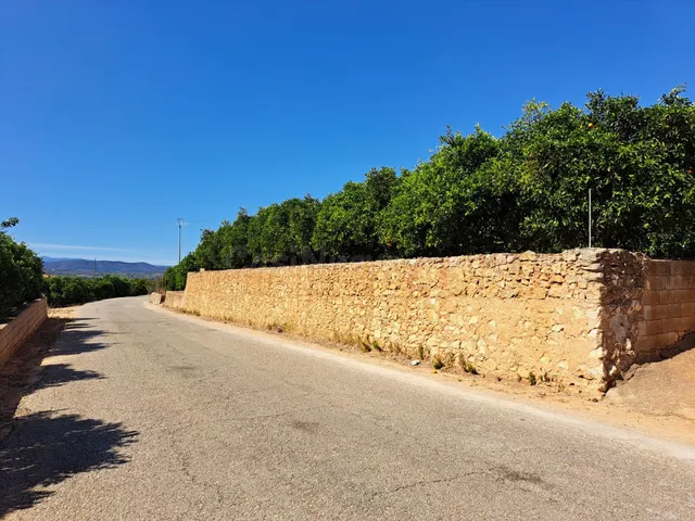 2 terrenos rurales en Carcaixent - Pujada de Maseres - foto 5