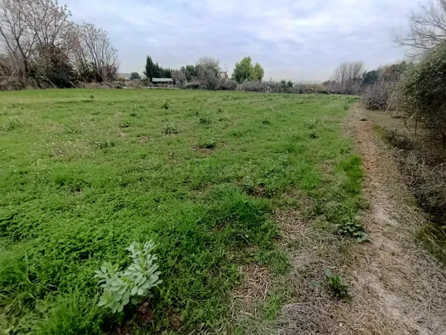 SE VENDE PARCELA RÚSTICA EN ALGUAZAS - foto 4