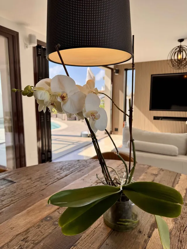 Chalet 5 habitaciones 299m² en venta - Riviera del sol — 18