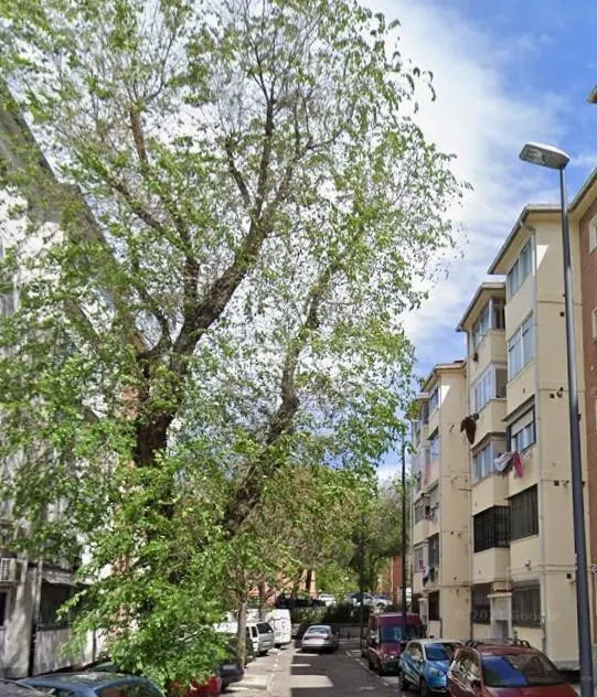 VENTA EN CONDICIONES ESPECIALES - MODALIDAD CESIÓN DE REMATE
