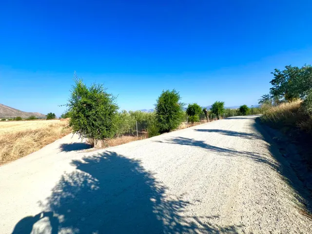 ALBOLOTE - PANTANO CUBILLAS — 14