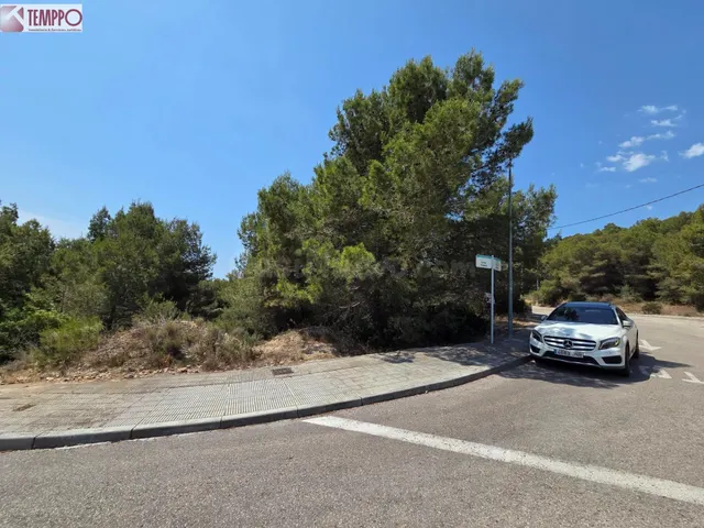 Oportunidad única en Valldemar - foto 3