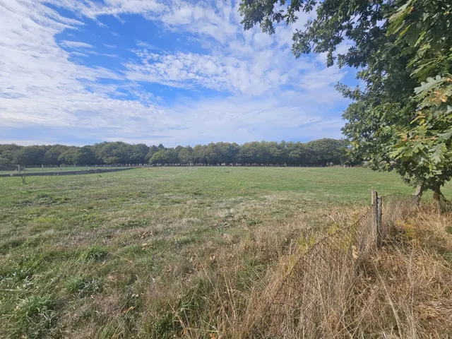 En exclusiva!!!!se vende casa  para entrar  a vivir con 12000 m2 de terreno en codosedo — 30