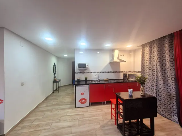 Se vende loft reformado en el Paseo de la Conferencia — 11