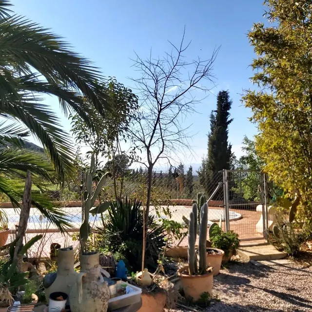 FINCA EN AGUADERAS - foto 4