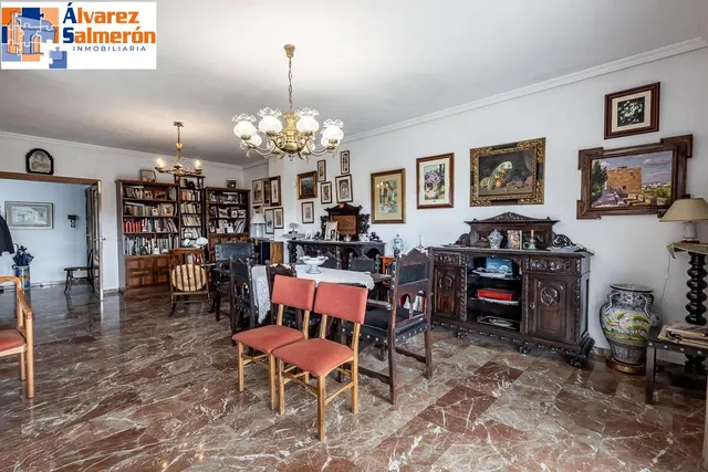 Pisazo en paseo del salón - Granada — 9