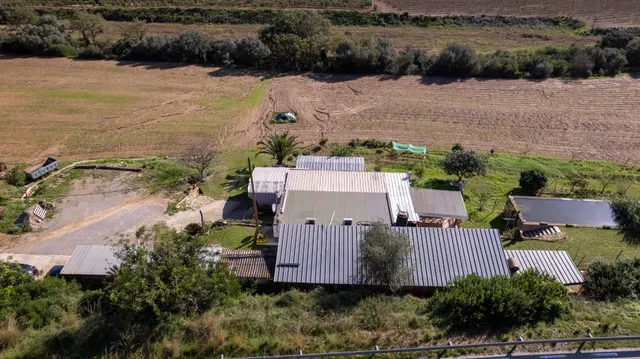 Finca Rústica de 20.000m2 con vivienda en venta. - foto 5