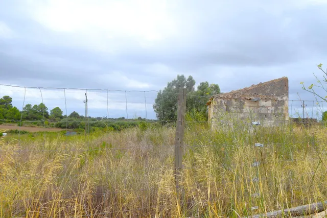 Finca rústica con proyecto básico de vivienda con piscina en - foto 3