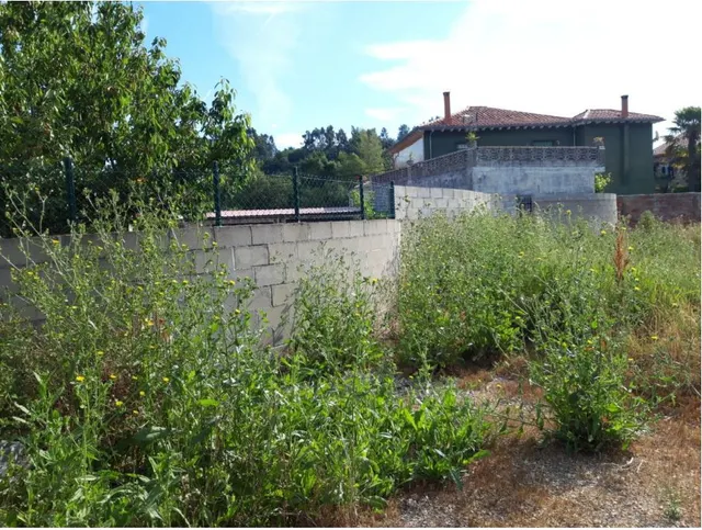 Piso 232m² en venta - Rinconeda - foto 3