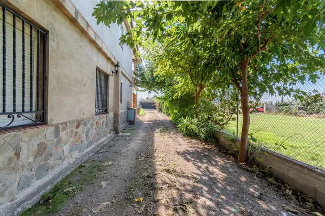 Chalet con piscina y gran parcela en partida senillar – grao de Castellón — 32