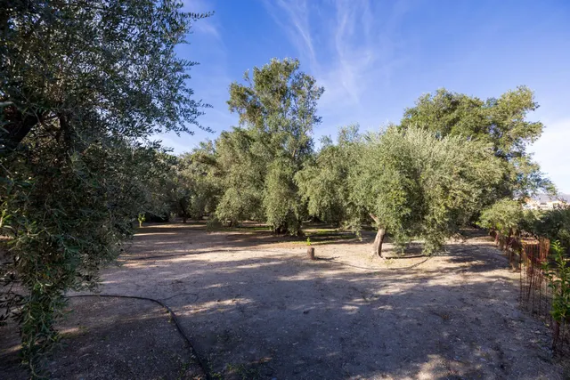 ¡Oportunidad única! Dos Fincas rústicas de mas de 15.000 m2 en total en Pinos del Valle. VENTA JUNTAS O SEPARADAS — 37