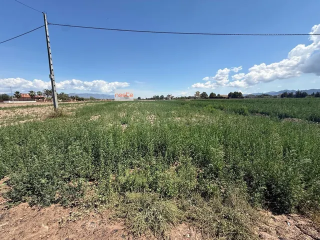 PARCELAS EN VENTA para Construcción de Chalets - foto 3
