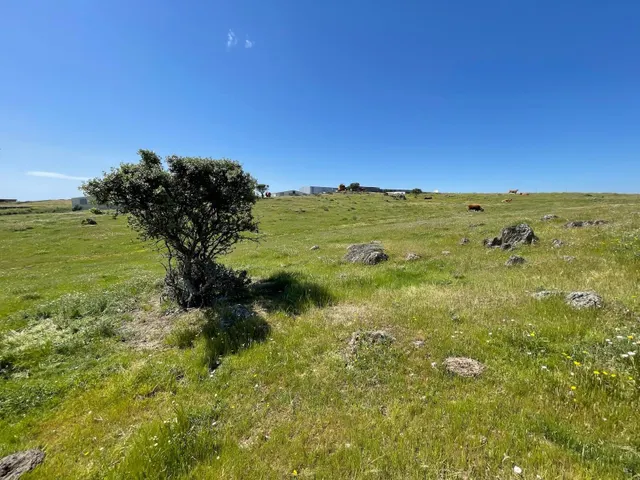 Terreno rural en venta - Extremadura — 6