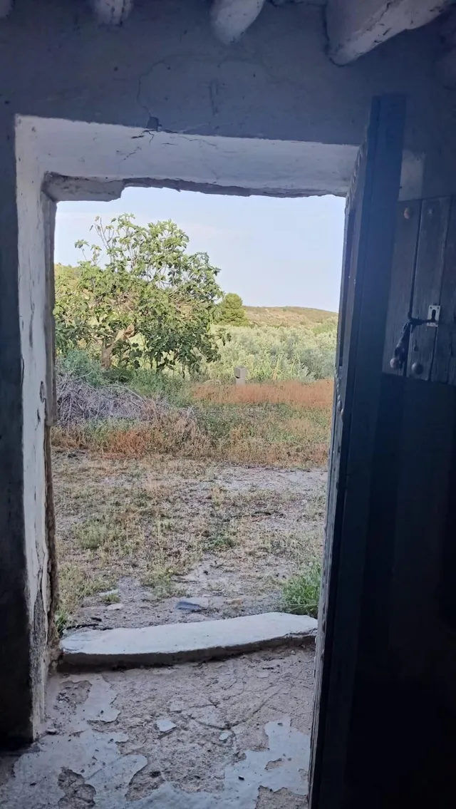 LÚCAR( ALMERÍA ). VENTA DE CORTIJO CON TERRENO. — 25