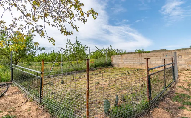 Finca rústica en venta con casa, nave y piscina - foto 5