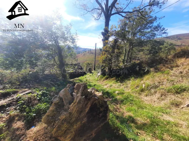 Encantadora Cabaña Pasiega de piedra - foto 5