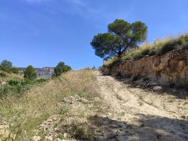 ¡Oportunidad Única! Finca de 55.000 m2 en Yéchar con Vistas  - foto 3