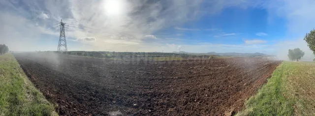 VENTA SUELO RUSTICO- ARABLE DE 51.400 M2, EN BODEGONES - SAL - foto 3