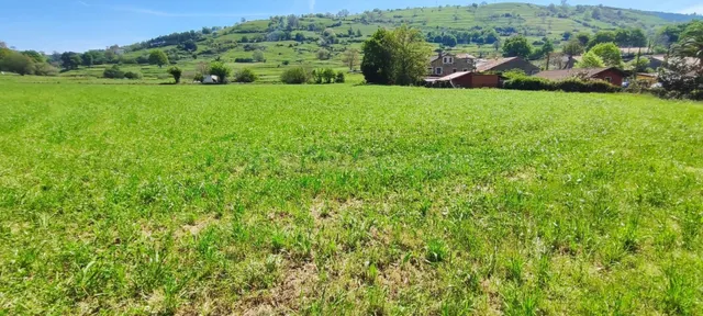 TERRENO DE 6.696 M2. EN LA ZONA DE TORANZO.- - foto 3