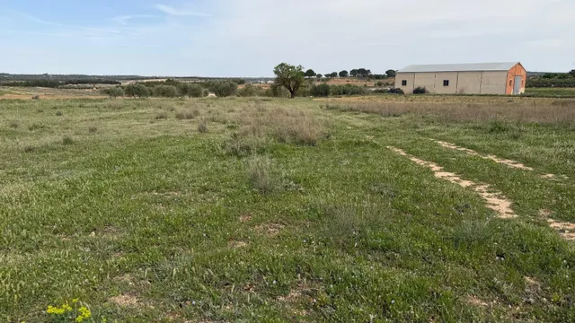 Se vende parcela rústica en Abengibre, Albacete. - foto 5