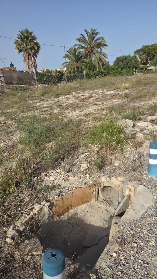 SE ALQUILA - Parcela de uso agrario en La Marina, Alicante,  - foto 5
