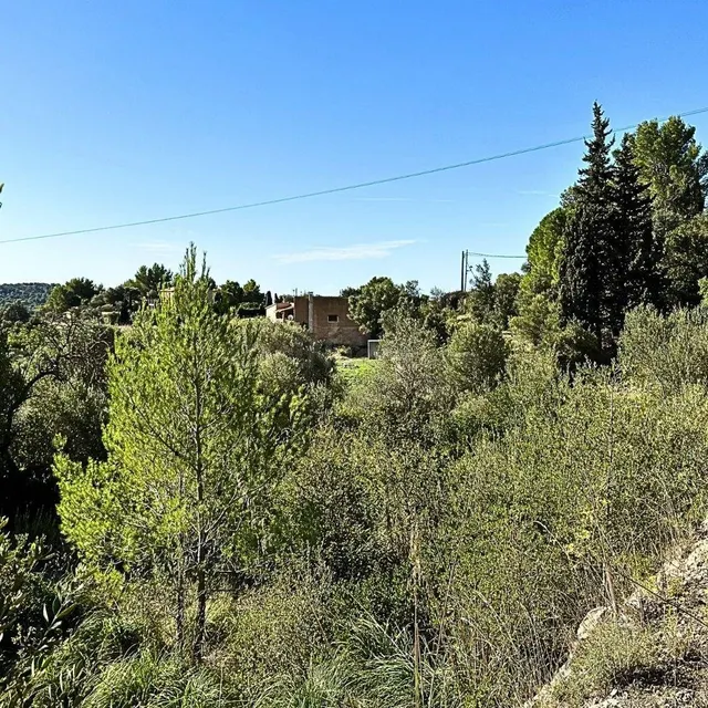 Terreno en Galilea en venta — 4