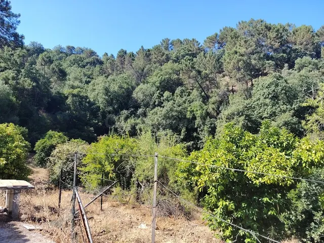 Casa de campo-Masía en Venta en Benastepal Málaga — 20