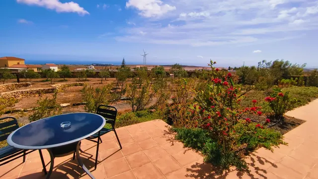 Finca de Lujo con Viñedo, Bodega Subterránea y Vistas Panorámicas al Atlántico — Fuerteventura — 42