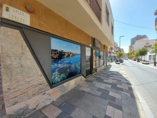 Local comercial en alquiler en zona comercial de El Ejido — 3