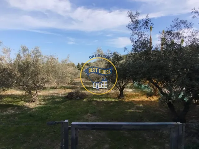 ¡¡¡OPORTUNIDAD!!! ENCANTADORA CASA DE CAMPO EN EXCLUSIVA EN ONTINYENT CON LUZ Y AGUA — 42