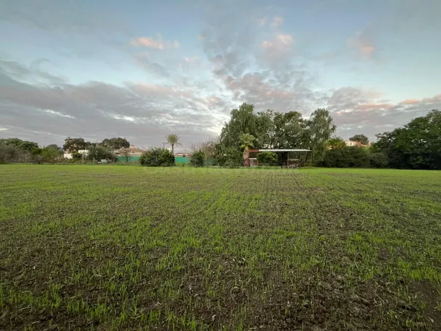 Parcela en mesas del corral - foto 4