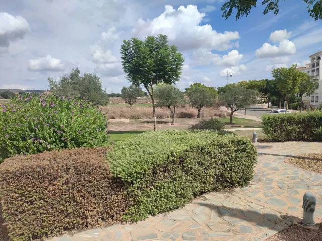 Piso 2 dormitorios Sucina - Oportunidad única en venta — 34