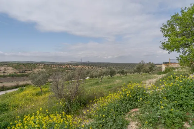 Parcela urbana de 985 m2 en Cúllar Vega (El Ventorrillo) — 49