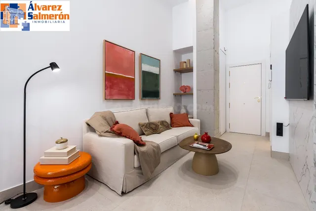 PRECIOSO ESTUDIO DE LUJO EN URBANIZACION TRIUNFO JARDIN — 5