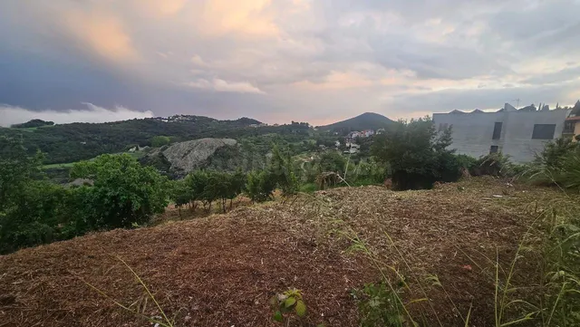 Parcela para construir una o dos casas solas o apareadas - foto 2