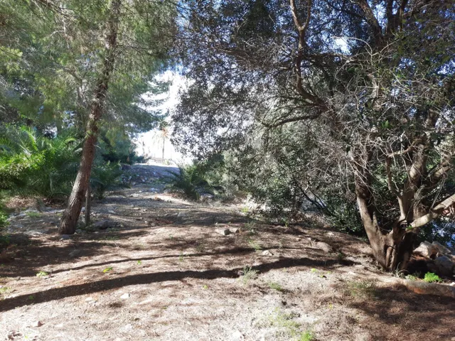 Parcela en zona Corral de calafat — 14