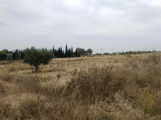 Terreno rural en venta - Sangonera la Seca