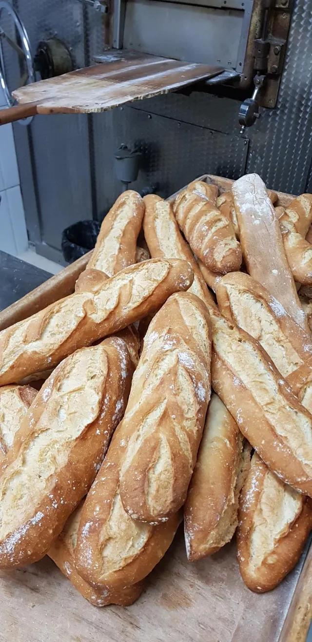 TRASPASO DE HORNO  BOLLERÍA  EN EL BOTANIC — 16